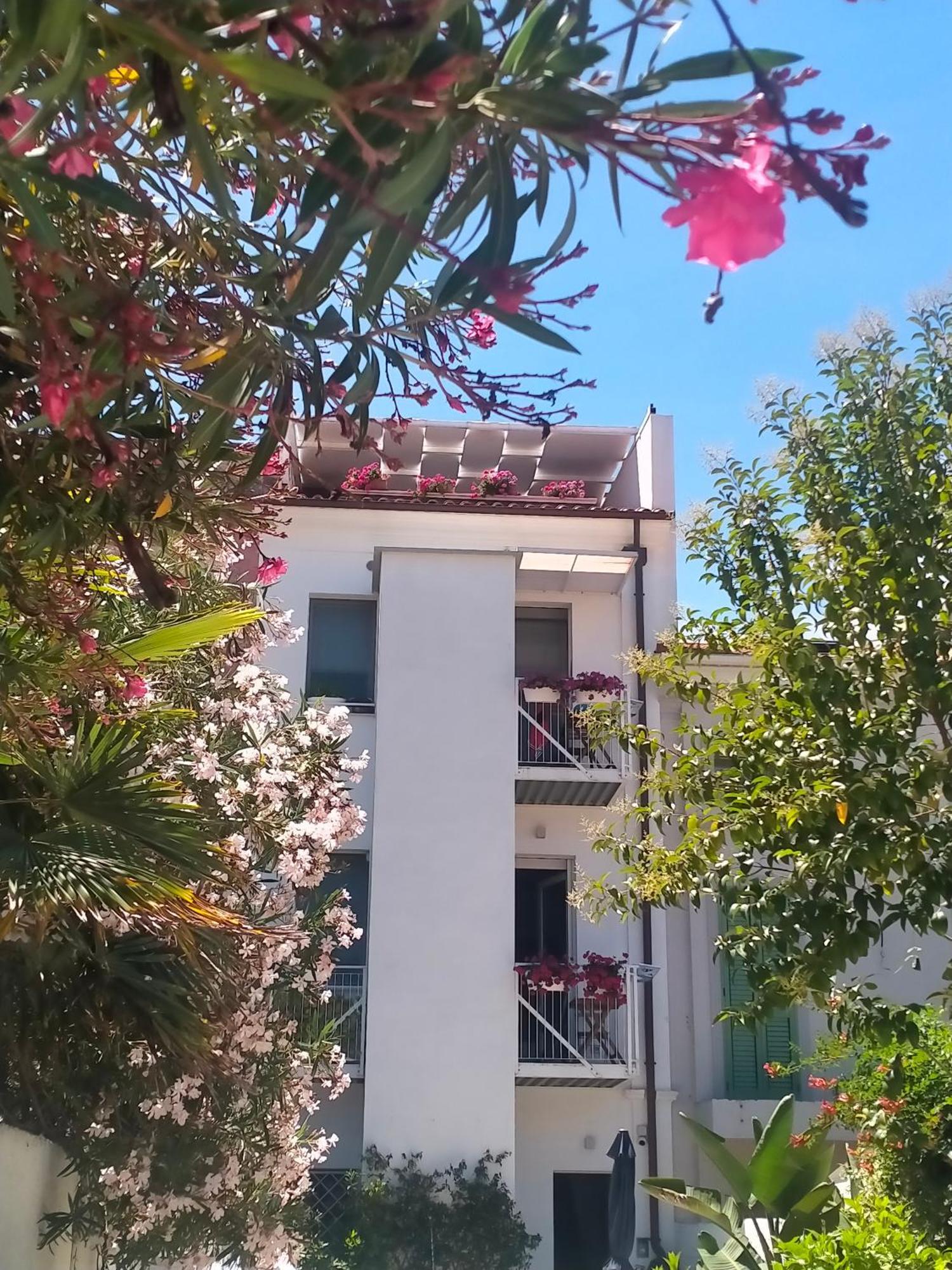 B&B Previsto Sole Чивитанова Марке Екстериор снимка